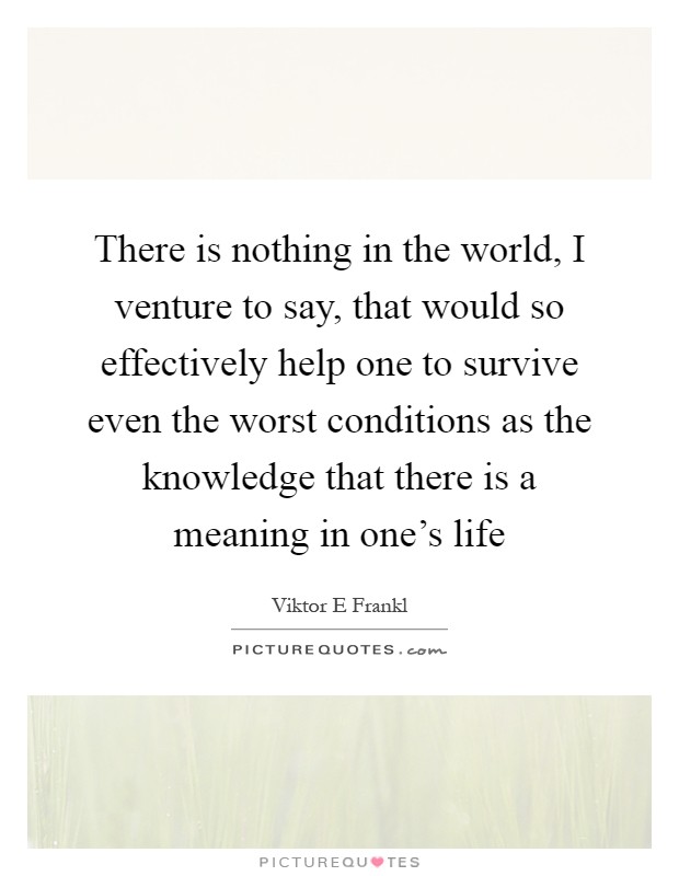 There is nothing in the world, I venture to say, that would so effectively help one to survive even the worst conditions as the knowledge that there is a meaning in one's life Picture Quote #1