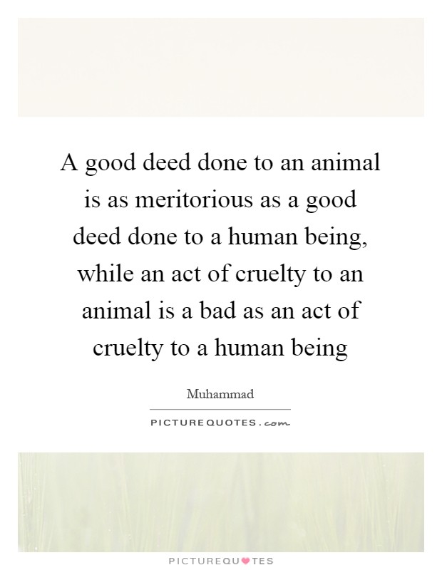 A good deed done to an animal is as meritorious as a good deed done to a human being, while an act of cruelty to an animal is a bad as an act of cruelty to a human being Picture Quote #1