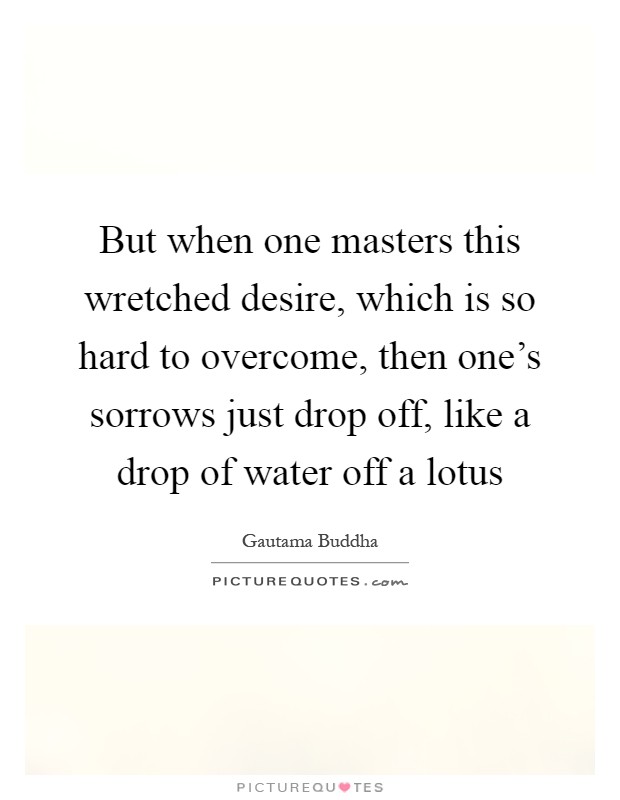 But when one masters this wretched desire, which is so hard to overcome, then one's sorrows just drop off, like a drop of water off a lotus Picture Quote #1