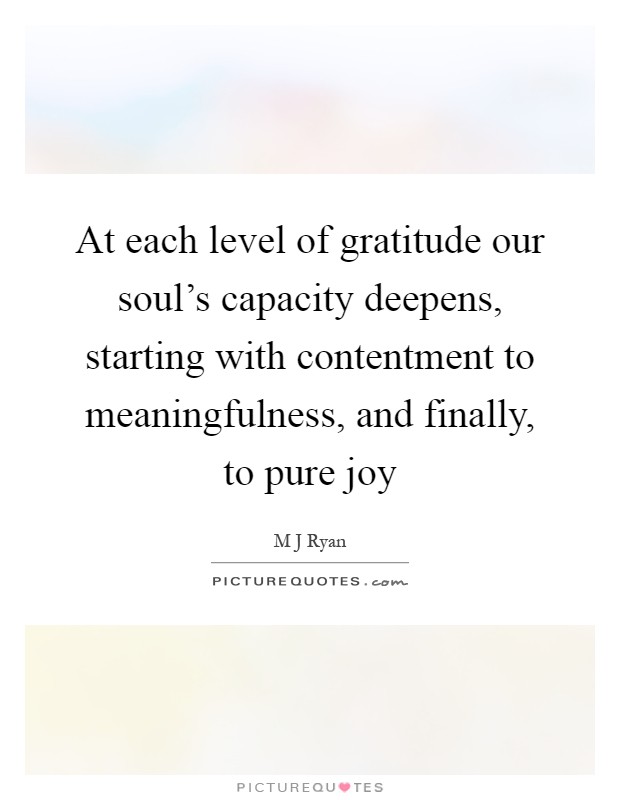At each level of gratitude our soul's capacity deepens, starting with contentment to meaningfulness, and finally, to pure joy Picture Quote #1