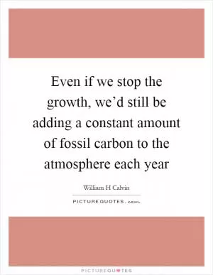 Even if we stop the growth, we’d still be adding a constant amount of fossil carbon to the atmosphere each year Picture Quote #1