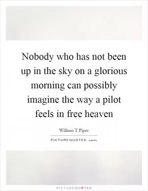 Nobody who has not been up in the sky on a glorious morning can possibly imagine the way a pilot feels in free heaven Picture Quote #1