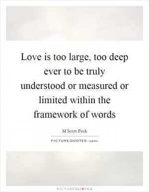 Love is too large, too deep ever to be truly understood or measured or limited within the framework of words Picture Quote #1