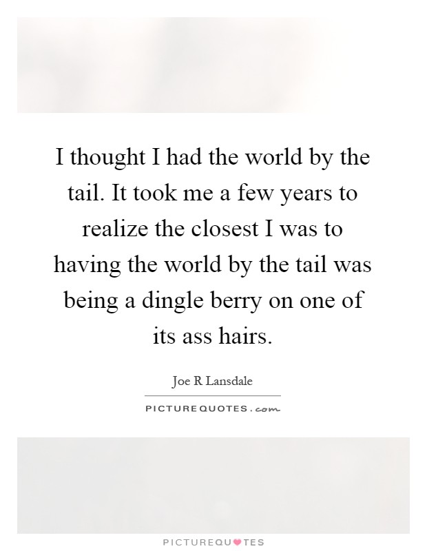 I thought I had the world by the tail. It took me a few years to realize the closest I was to having the world by the tail was being a dingle berry on one of its ass hairs Picture Quote #1