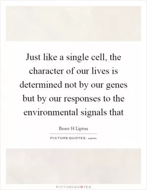 Just like a single cell, the character of our lives is determined not by our genes but by our responses to the environmental signals that Picture Quote #1