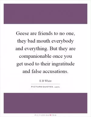 Geese are friends to no one, they bad mouth everybody and everything. But they are companionable once you get used to their ingratitude and false accusations Picture Quote #1