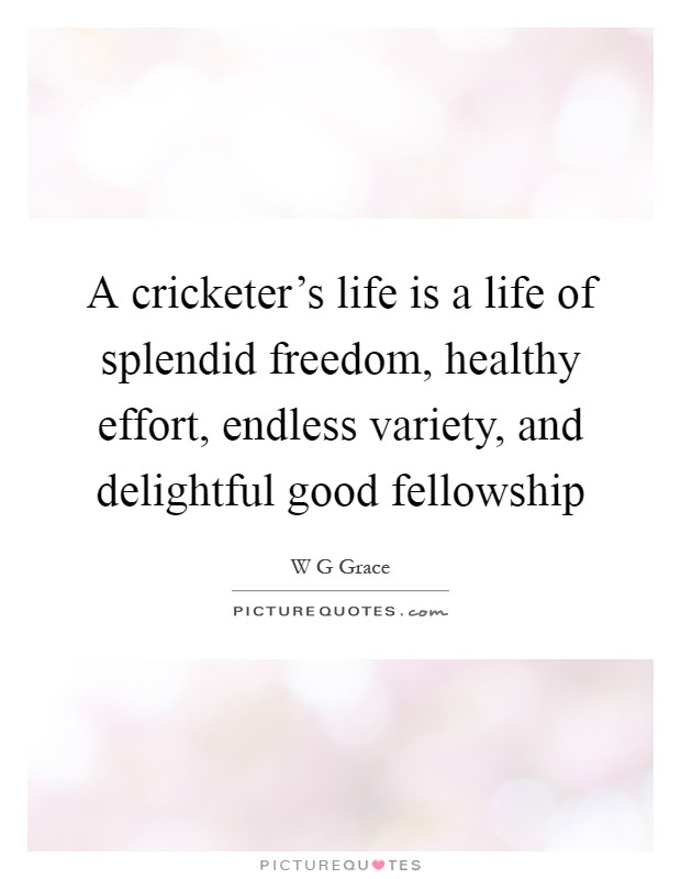 A cricketer's life is a life of splendid freedom, healthy effort, endless variety, and delightful good fellowship Picture Quote #1