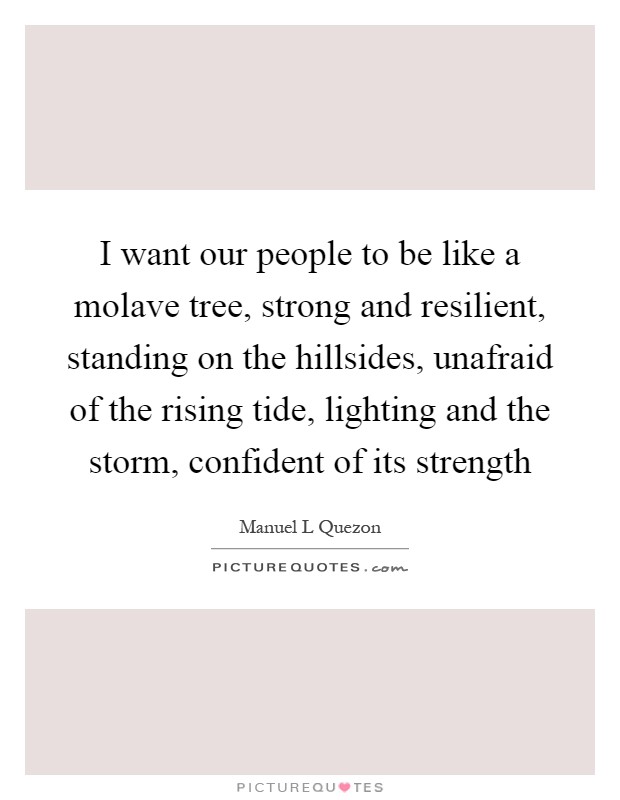 I want our people to be like a molave tree, strong and resilient, standing on the hillsides, unafraid of the rising tide, lighting and the storm, confident of its strength Picture Quote #1