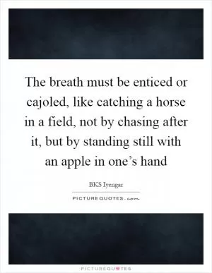 The breath must be enticed or cajoled, like catching a horse in a field, not by chasing after it, but by standing still with an apple in one’s hand Picture Quote #1