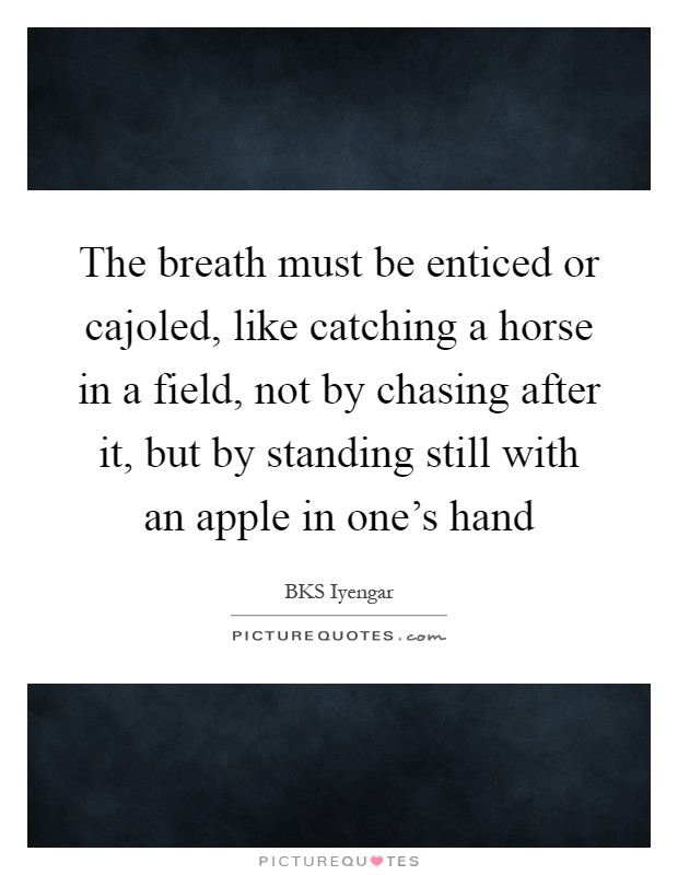 The breath must be enticed or cajoled, like catching a horse in a field, not by chasing after it, but by standing still with an apple in one's hand Picture Quote #1
