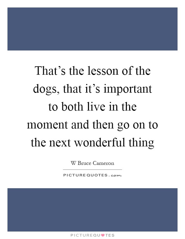 That's the lesson of the dogs, that it's important to both live in the moment and then go on to the next wonderful thing Picture Quote #1