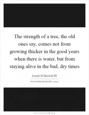 The strength of a tree, the old ones say, comes not from growing thicker in the good years when there is water, but from staying alive in the bad, dry times Picture Quote #1