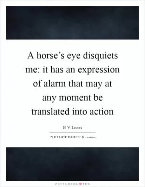 A horse’s eye disquiets me: it has an expression of alarm that may at any moment be translated into action Picture Quote #1