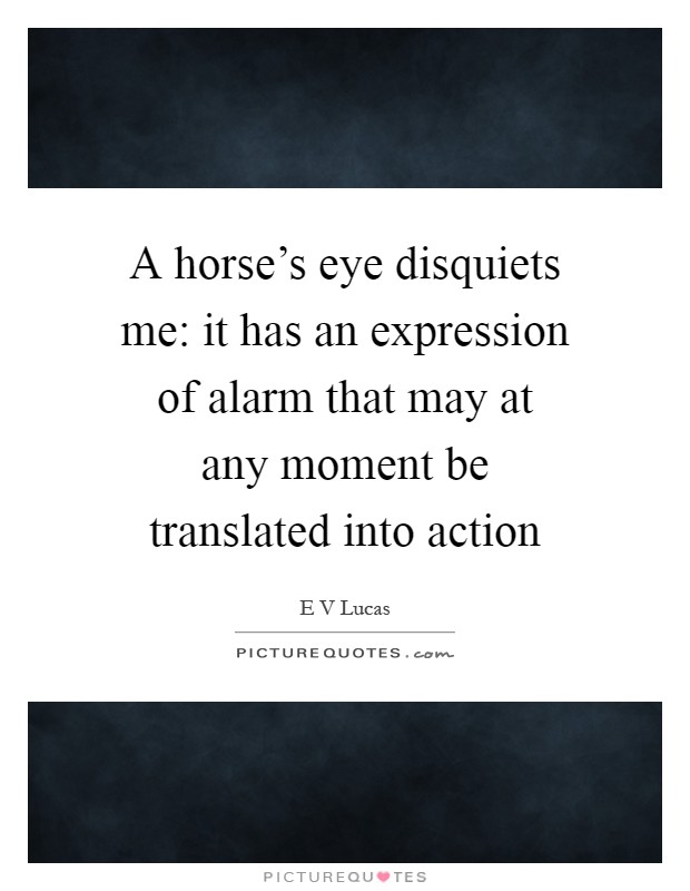 A horse's eye disquiets me: it has an expression of alarm that may at any moment be translated into action Picture Quote #1