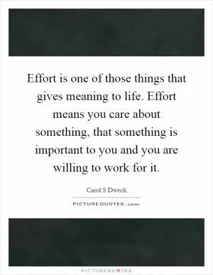 Effort is one of those things that gives meaning to life. Effort means you care about something, that something is important to you and you are willing to work for it Picture Quote #1