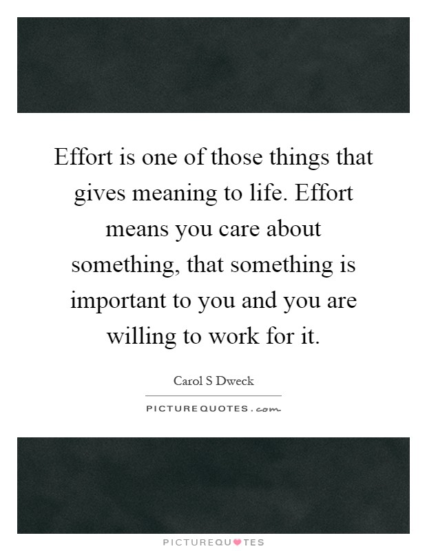 Effort is one of those things that gives meaning to life. Effort means you care about something, that something is important to you and you are willing to work for it Picture Quote #1