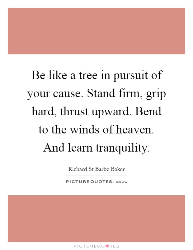 Be like a tree in pursuit of your cause. Stand firm, grip hard, thrust upward. Bend to the winds of heaven. And learn tranquility Picture Quote #1