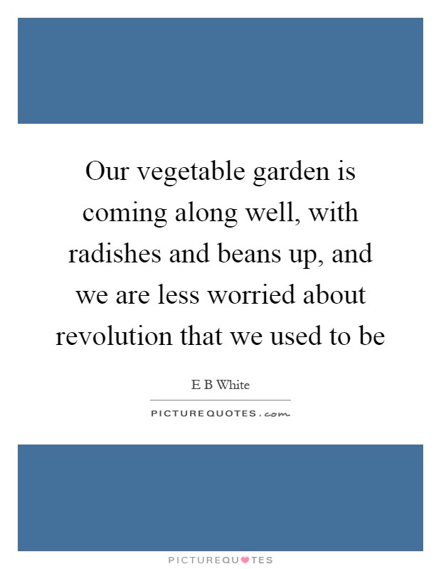 Our vegetable garden is coming along well, with radishes and beans up, and we are less worried about revolution that we used to be Picture Quote #1