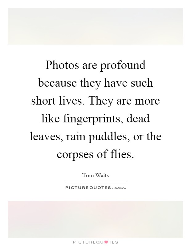 Photos are profound because they have such short lives. They are more like fingerprints, dead leaves, rain puddles, or the corpses of flies Picture Quote #1