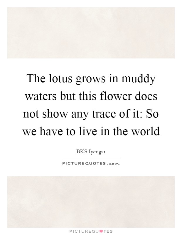 The lotus grows in muddy waters but this flower does not show any trace of it: So we have to live in the world Picture Quote #1
