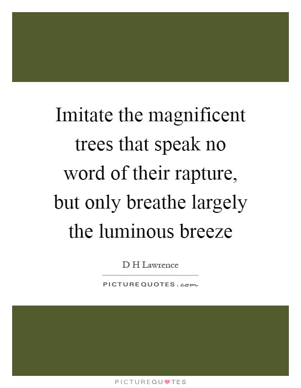 Imitate the magnificent trees that speak no word of their rapture, but only breathe largely the luminous breeze Picture Quote #1