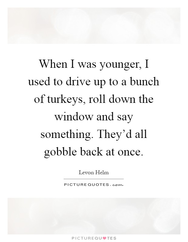 When I was younger, I used to drive up to a bunch of turkeys, roll down the window and say something. They'd all gobble back at once Picture Quote #1