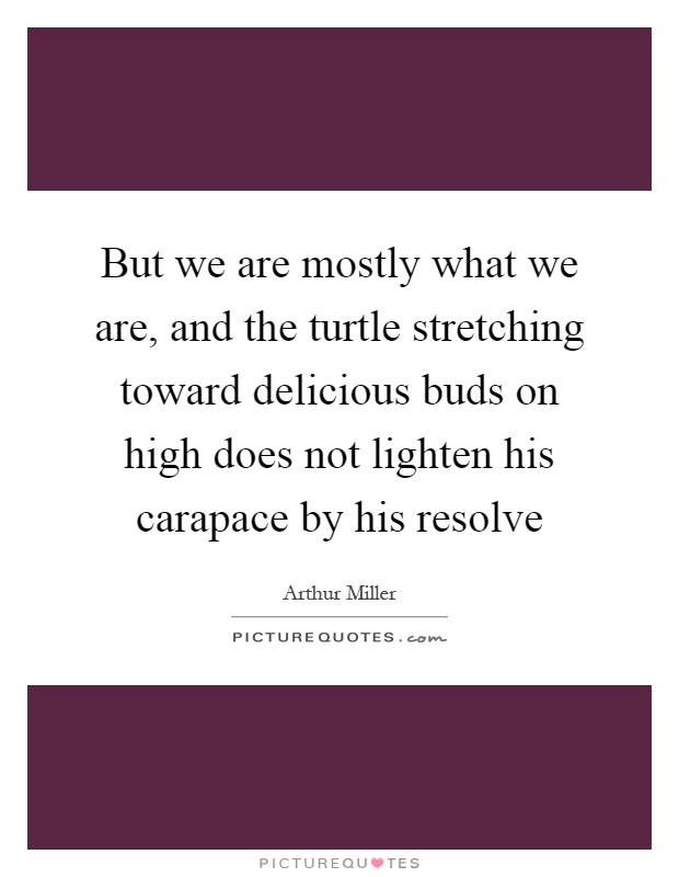 But we are mostly what we are, and the turtle stretching toward delicious buds on high does not lighten his carapace by his resolve Picture Quote #1