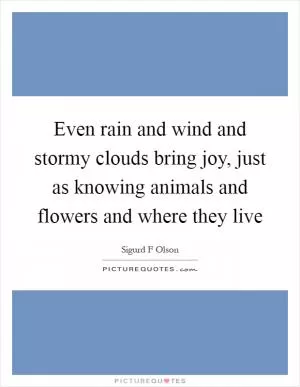 Even rain and wind and stormy clouds bring joy, just as knowing animals and flowers and where they live Picture Quote #1