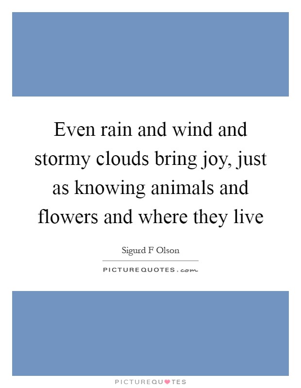 even-rain-and-wind-and-stormy-clouds-bri