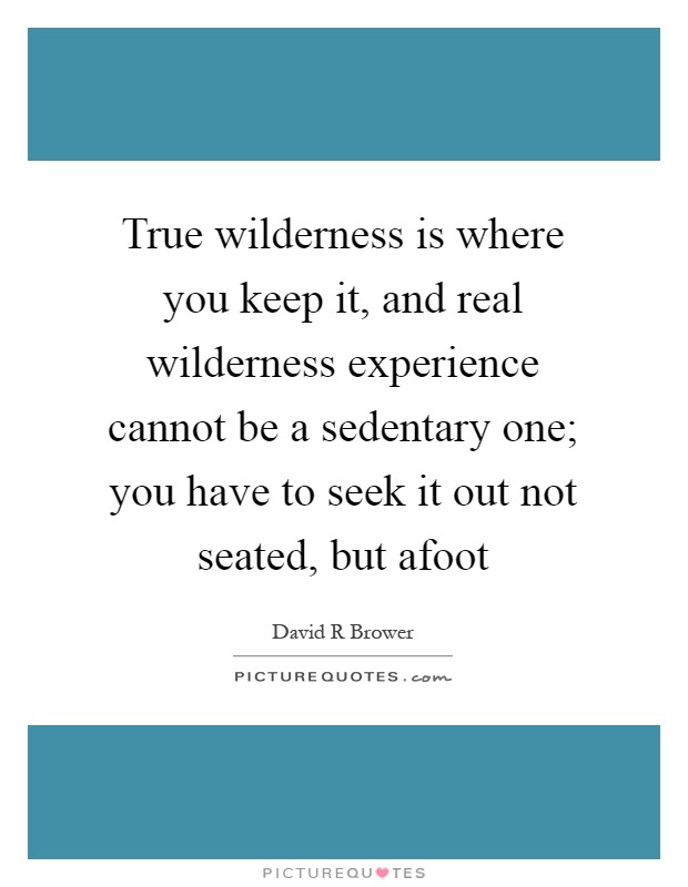 True wilderness is where you keep it, and real wilderness experience cannot be a sedentary one; you have to seek it out not seated, but afoot Picture Quote #1