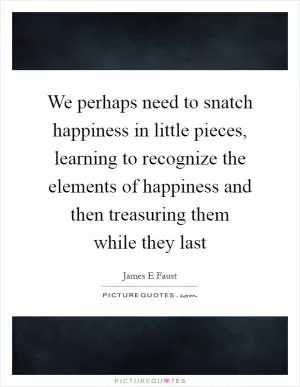 We perhaps need to snatch happiness in little pieces, learning to recognize the elements of happiness and then treasuring them while they last Picture Quote #1