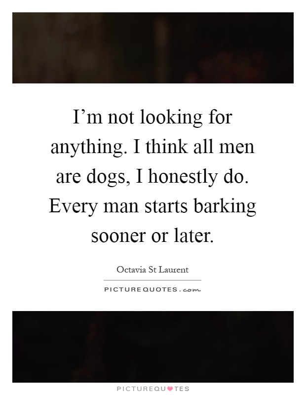 I'm not looking for anything. I think all men are dogs, I honestly do. Every man starts barking sooner or later Picture Quote #1