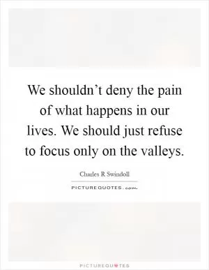 We shouldn’t deny the pain of what happens in our lives. We should just refuse to focus only on the valleys Picture Quote #1