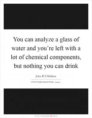 You can analyze a glass of water and you’re left with a lot of chemical components, but nothing you can drink Picture Quote #1