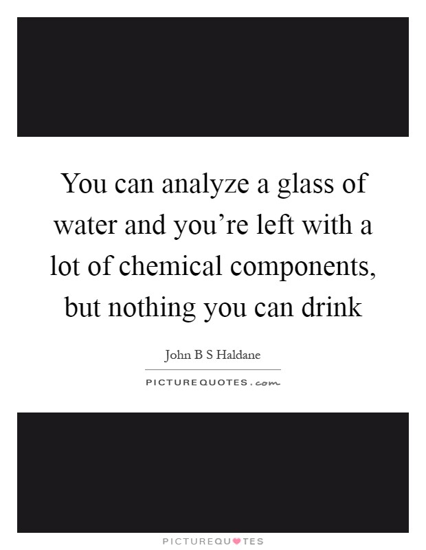 You can analyze a glass of water and you're left with a lot of chemical components, but nothing you can drink Picture Quote #1