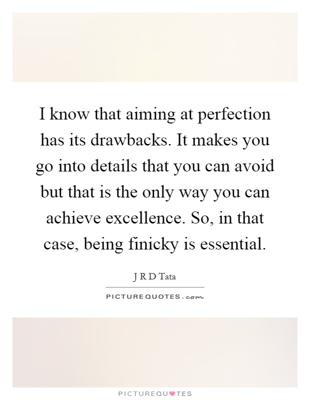 I know that aiming at perfection has its drawbacks. It makes you go into details that you can avoid but that is the only way you can achieve excellence. So, in that case, being finicky is essential Picture Quote #1