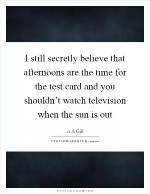 I still secretly believe that afternoons are the time for the test card and you shouldn’t watch television when the sun is out Picture Quote #1
