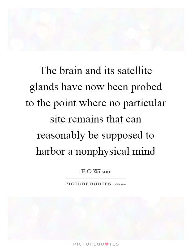 The brain and its satellite glands have now been probed to the point where no particular site remains that can reasonably be supposed to harbor a nonphysical mind Picture Quote #1