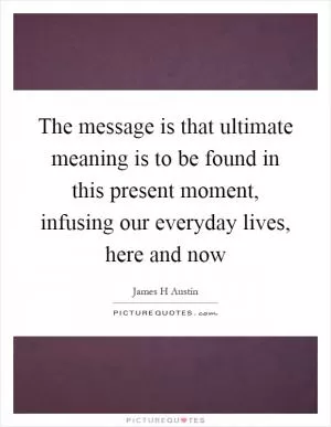 The message is that ultimate meaning is to be found in this present moment, infusing our everyday lives, here and now Picture Quote #1