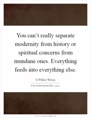 You can’t really separate modernity from history or spiritual concerns from mundane ones. Everything feeds into everything else Picture Quote #1