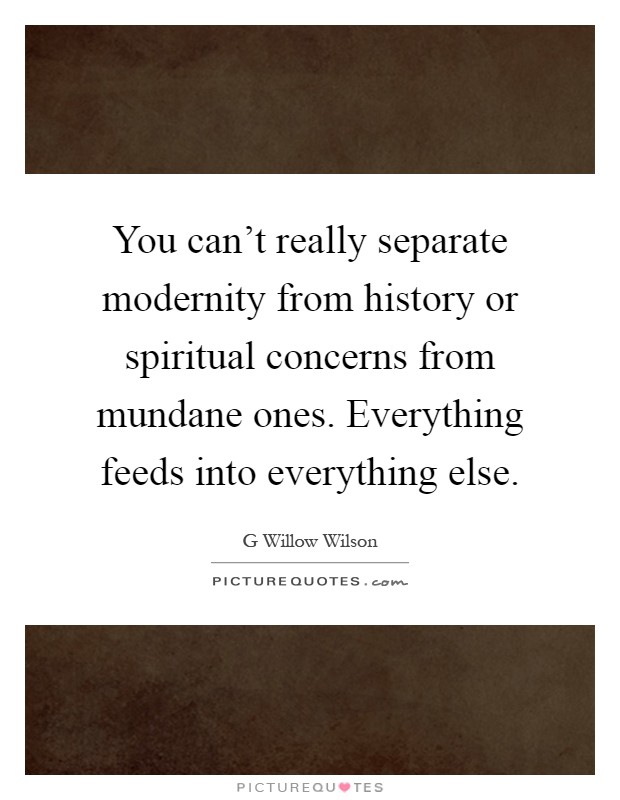 You can't really separate modernity from history or spiritual concerns from mundane ones. Everything feeds into everything else Picture Quote #1