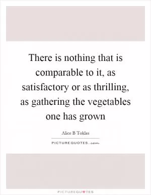 There is nothing that is comparable to it, as satisfactory or as thrilling, as gathering the vegetables one has grown Picture Quote #1