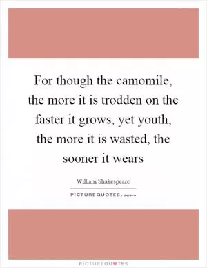 For though the camomile, the more it is trodden on the faster it grows, yet youth, the more it is wasted, the sooner it wears Picture Quote #1