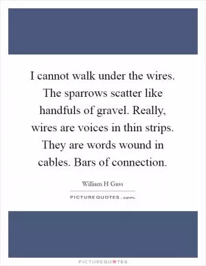 I cannot walk under the wires. The sparrows scatter like handfuls of gravel. Really, wires are voices in thin strips. They are words wound in cables. Bars of connection Picture Quote #1