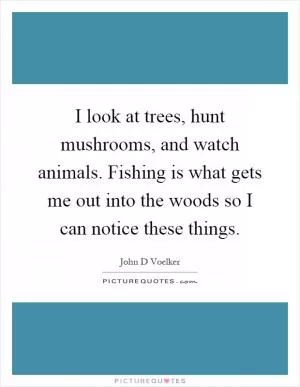 I look at trees, hunt mushrooms, and watch animals. Fishing is what gets me out into the woods so I can notice these things Picture Quote #1