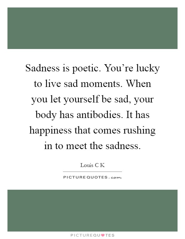 Sadness is poetic. You're lucky to live sad moments. When you let yourself be sad, your body has antibodies. It has happiness that comes rushing in to meet the sadness Picture Quote #1
