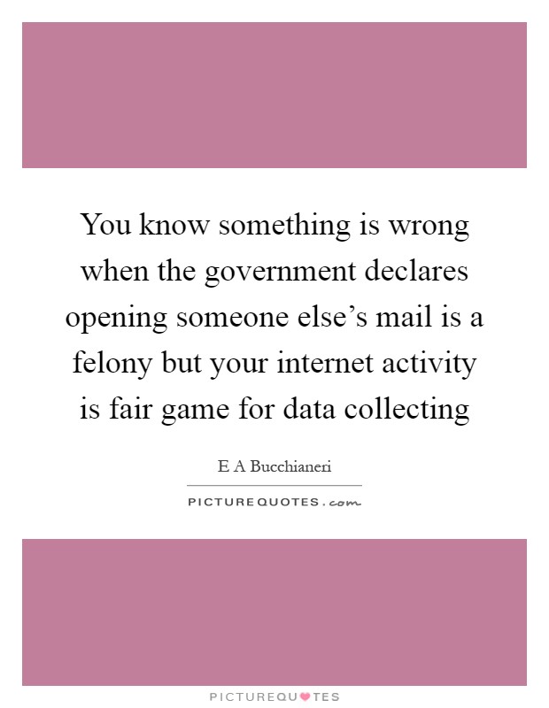You know something is wrong when the government declares opening someone else's mail is a felony but your internet activity is fair game for data collecting Picture Quote #1