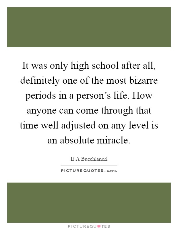 It was only high school after all, definitely one of the most bizarre periods in a person's life. How anyone can come through that time well adjusted on any level is an absolute miracle Picture Quote #1