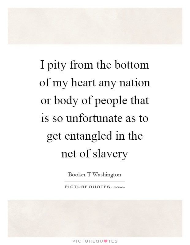 I pity from the bottom of my heart any nation or body of people that is so unfortunate as to get entangled in the net of slavery Picture Quote #1