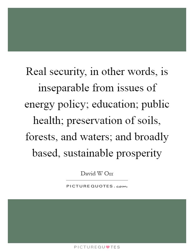 Real security, in other words, is inseparable from issues of energy policy; education; public health; preservation of soils, forests, and waters; and broadly based, sustainable prosperity Picture Quote #1